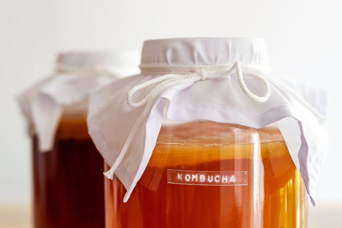 Fermentuoti gėrimai. Kombuča