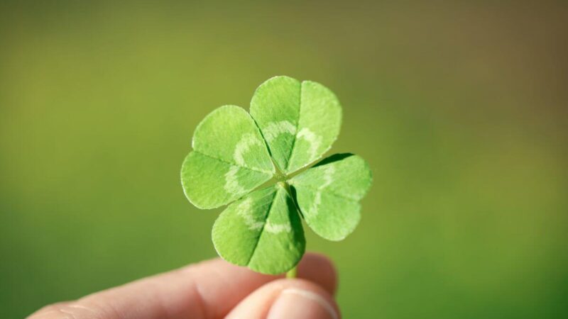 10 laimingųjų, kurių gyvybes išgelbėjo sutapimai