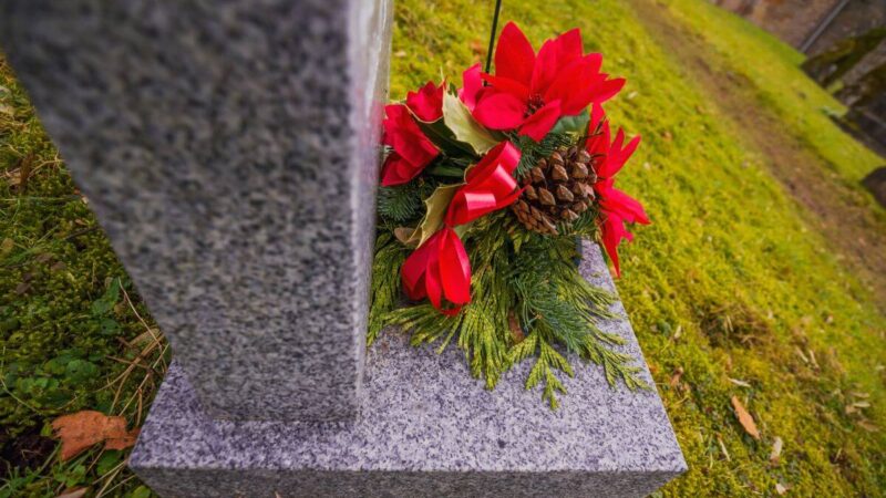 Kapų priežiūra: kaip išvengti dažniausiai daromų klaidų?