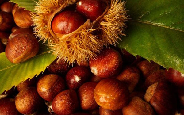 Šis triukas su kaštonais padės atsikratyti nemalonios problemos namuose