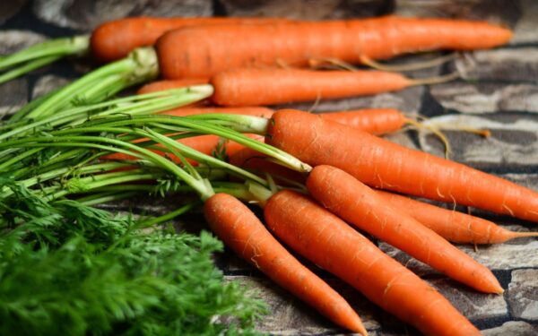 Sodininkystės ekspertai: šis metodas padės morkas išsaugoti per žiemą