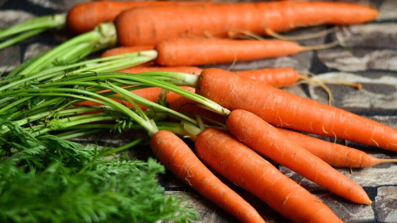 Sodininkystės ekspertai: šis metodas padės morkas išsaugoti per žiemą