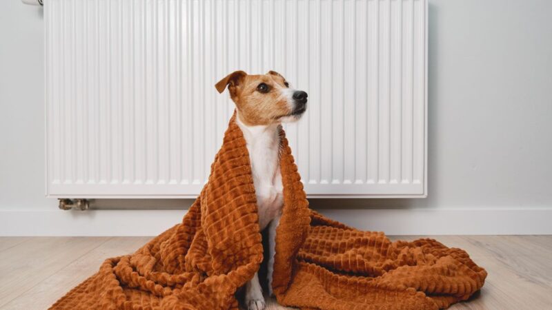 Šildymas Lietuvoje jau įsibėgėja. Kurie Lietuvos miestai jau šildosi, o kurie dar laukia?