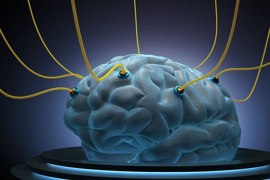 Kinijos mokslininkai padarė proveržį reanimacijos srityje- atgaivino kiaulės smegenų veiklą