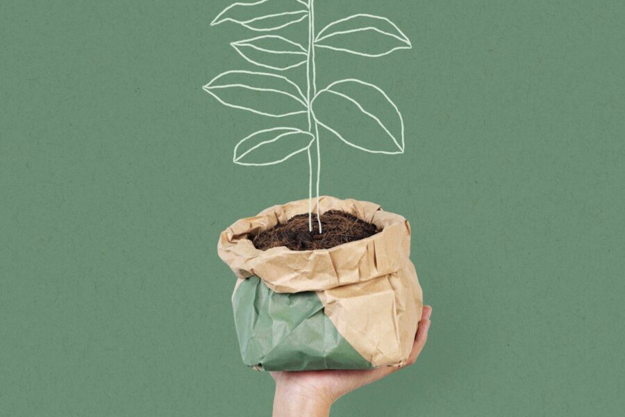 Trečiadienio augalų vadovas (spalio 16 d.): Atraskite, kuris augalas suderins jūsų Zodiaką su kosminėmis energijomis!