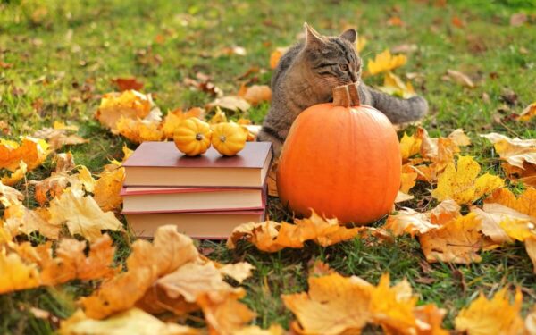 Nuo trečiadienio laukia sausesni ir šviesesni rudeniški orai