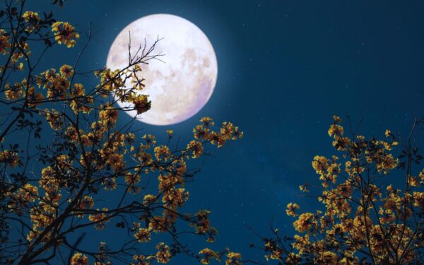 Artėja ryškiausia 2024 metų superpilnatis: „Medžiotojo Mėnulis“