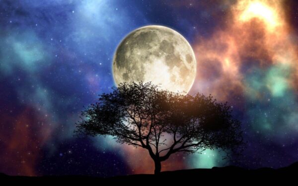 Antradienio citata (lapkričio 19 d.): Trys Zodiako ženklai šiandien gaus kosminės išminties – visatos vedami išlaisvinkite savo potencialą!