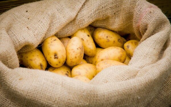 Bulvės išsilaikys iki pavasario ir nesudygs: padėkite kartu kelis prieskoninės žolės lapelius