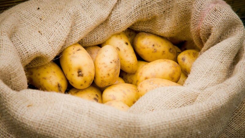 Bulvės išsilaikys iki pavasario ir nesudygs: padėkite kartu kelis prieskoninės žolės lapelius