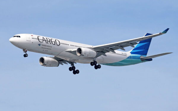 Kūdikis gimė skrydžio metu ir gavo nemokamus skrydžius visam gyvenimui