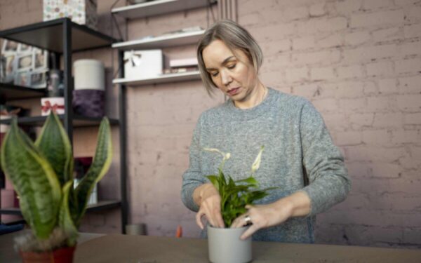 Šeštadienio augalų vadovas (lapkričio 16 d.): Atraskite tobulą augalą savo kosminei aistrai įžiebti jau šiandien!