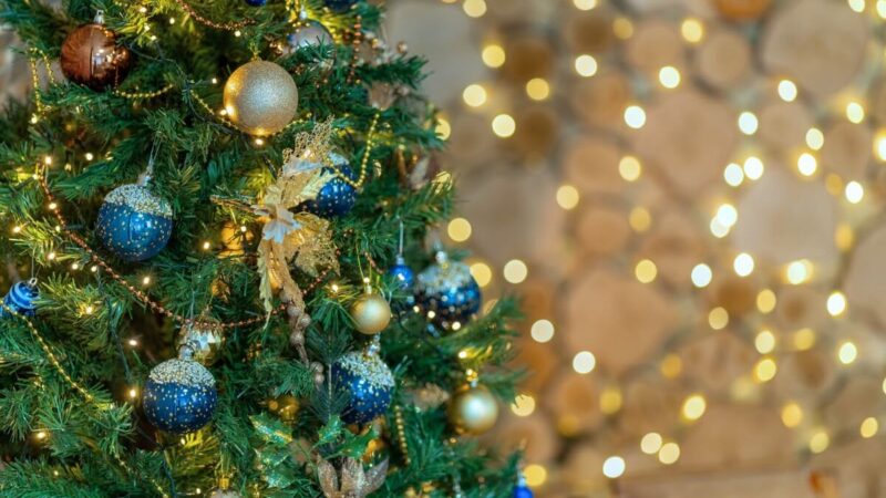 Kad Žalioji Gyvatė būtų patenkinta: kaip papuošti eglutę 2025 Naujiesiems metams