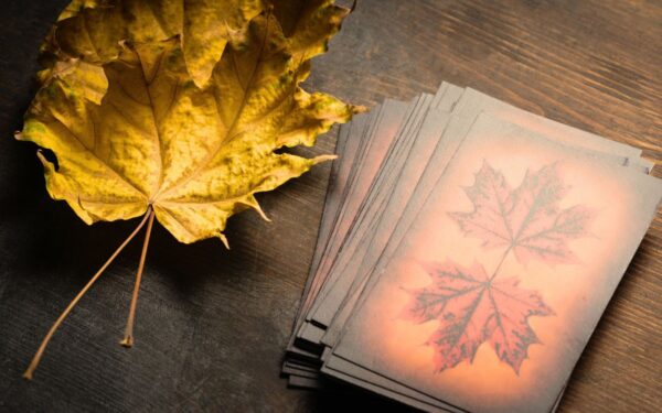 Taro prognozė 2024 metų lapkričiui. Priešpaskutinis metų mėnuo atneš daug aiškumo ir atsakymų