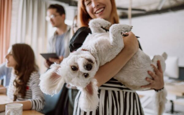 2025-ųjų augintinių vardų tendencijos: nuo klasikos iki originalumo