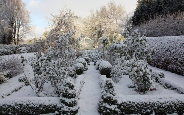 Žiemos darbai sode: puikus metas pradėti ruoštis pavasariui jau po švenčių