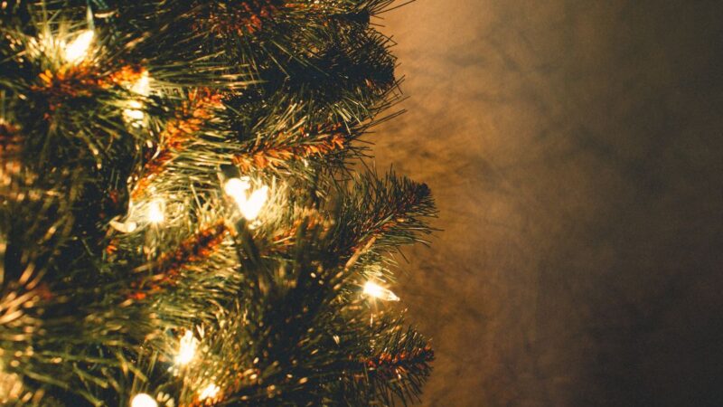 Šie patarimai padės Kalėdinę eglutę išlaikyti kuo ilgiau žaliuojančią