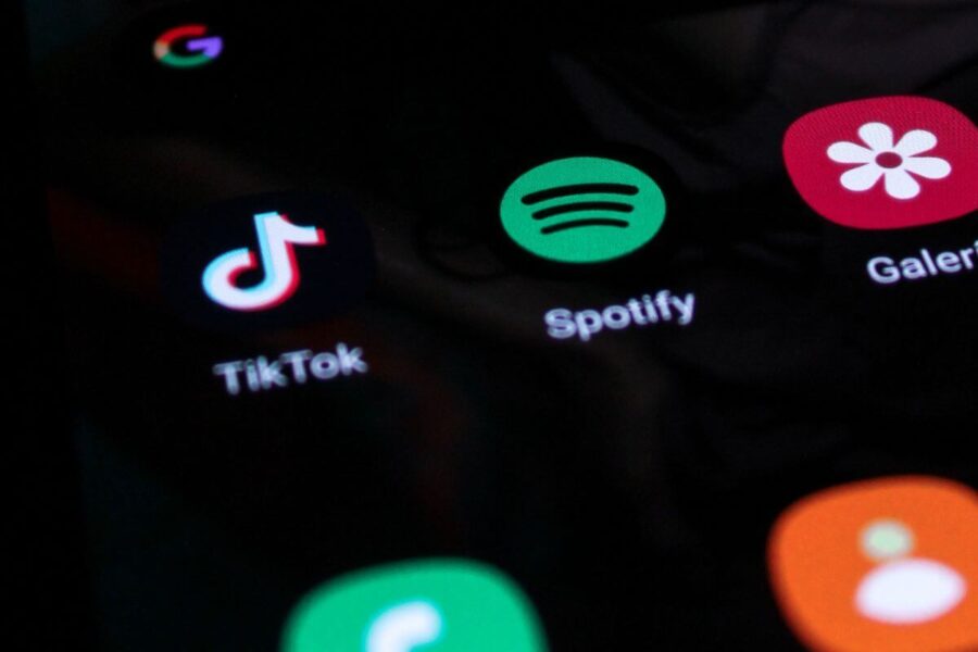 TikTok tyrimas dėl kišimosi į rinkimus