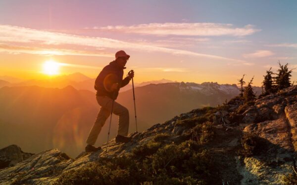 2025-ieji, Žaliosios Gyvatės metai, Šauliams ir Ožiaragiams: naujos galimybės