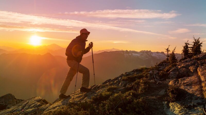 2025-ieji, Žaliosios Gyvatės metai, Šauliams ir Ožiaragiams: naujos galimybės