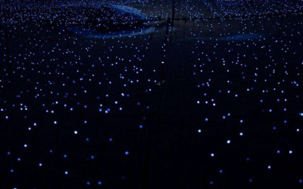 Ketvirtadienio astrologiniai įvykiai (gruodžio 12 d.): Jupiterio šuolis į Ožiaragį gali pakelti vieno Zodiako ženklo karjerą – ar tai jūsų?