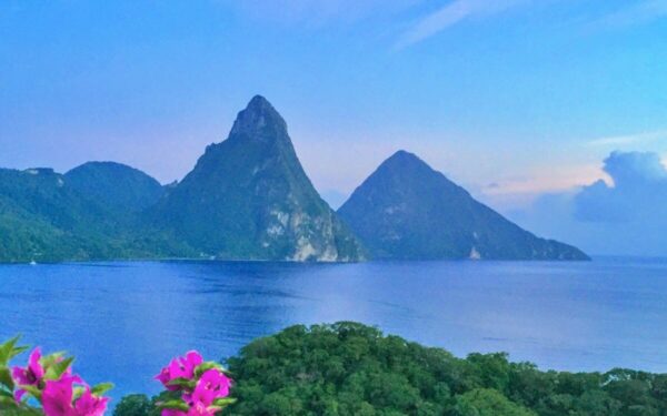 Nuo safario iki vyno: „Lonely Planet“ įvardijo, kur vykti 2025 m. vasario mėnesį