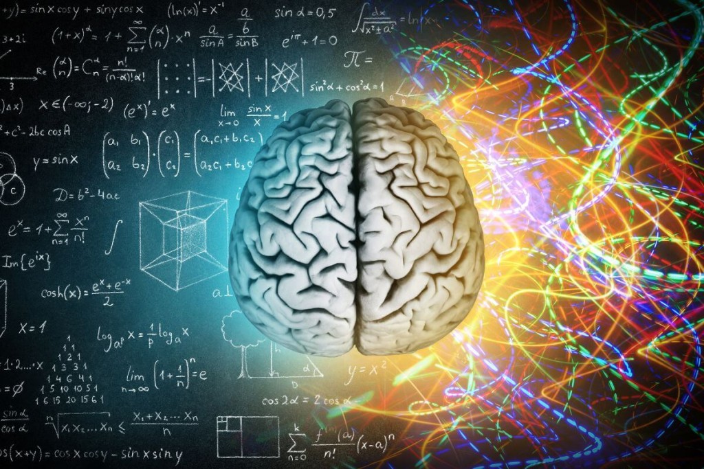 kaip-veikia-neuroplastiskumas - Laikas.lt Kaip veikia neuroplastiškumas?