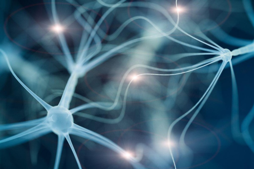 neuroplastiskumas-ypatybes - Laikas.lt Neuroplastiškumas: ypatybės
