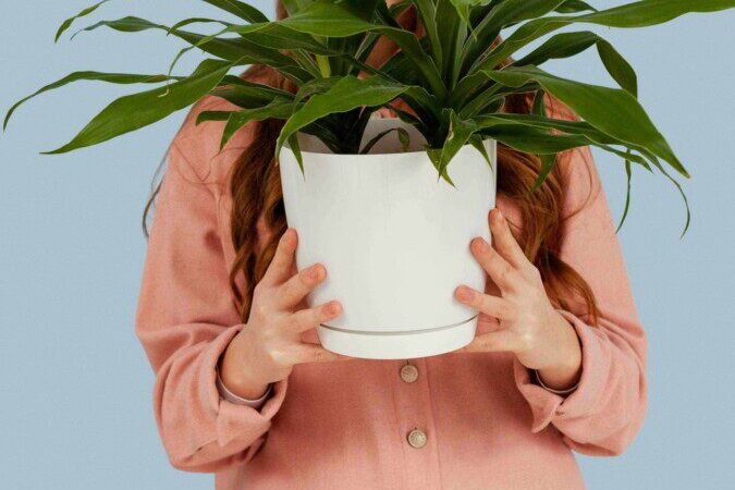 Antradienio augalų vadovas (gruodžio 17 d.): Atskleiskite kosmines savo Zodiako augalų galios paslaptis jau šiandien!