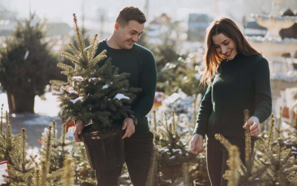 Savaitės astronominis derinys (2024-52 savaitė): Žuvys ir Skorpionas—ar aistra ir emocinis gilumas sukurs meilę, kuri nugalės viską, ar karjeros iššūkiai išbandys jų ryšį?