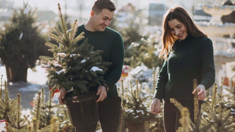 Savaitės astronominis derinys (2024-52 savaitė): Žuvys ir Skorpionas—ar aistra ir emocinis gilumas sukurs meilę, kuri nugalės viską, ar karjeros iššūkiai išbandys jų ryšį?