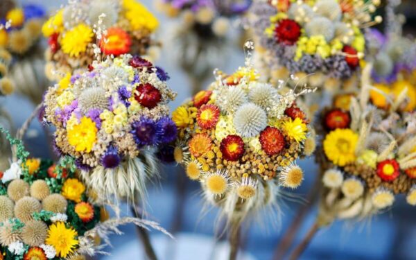 2025 metų Verbų Sekmadienis. Kodėl verba „muša”?