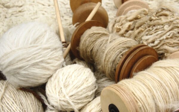 Ar žinote, kuo ypatinga kiekviena vilna ir kodėl verta turėti drabužių su ja sudėtyje?