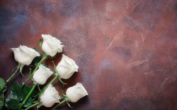 Laidotuvių etiketas: pasitikrinkite ar žinote kaip elgtis per šermenis ar laidotuves