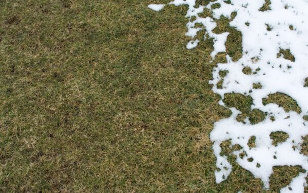 Sodo darbai nutirpus sniegui. Ką reikėtų atlikti pirmiausiai?