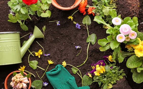 Kaip paruošti sodą pavasariui: 10 svarbiausių darbų