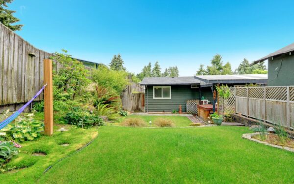 Kaip paruošti veją pavasariui: svarbiausi darbai jau vasarį