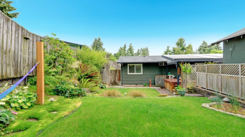 Kaip paruošti veją pavasariui: svarbiausi darbai jau vasarį