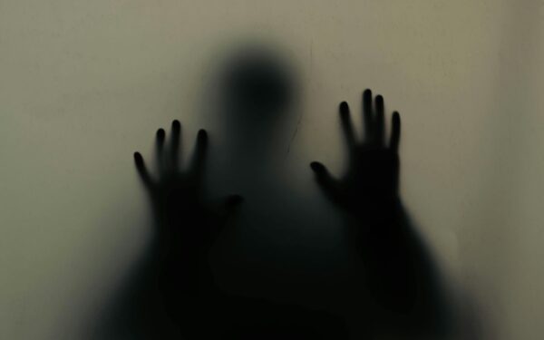 Mokslininkai atskleidė, kaip smegenys įveikia baimes