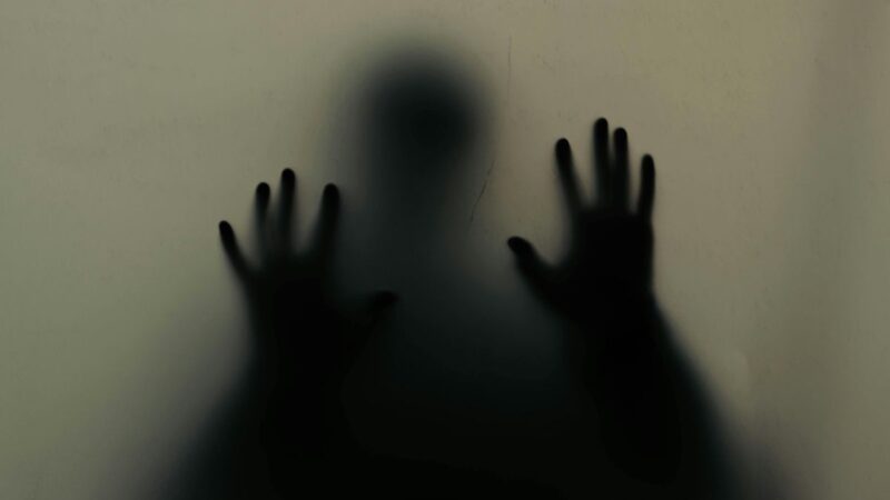 Mokslininkai atskleidė, kaip smegenys įveikia baimes