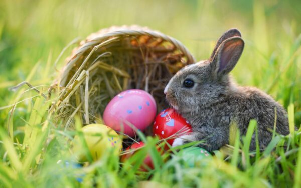 2025 m. Romos katalikai ir stačiatikiai kartu švęs Velykas: taip nutinka nedažnai