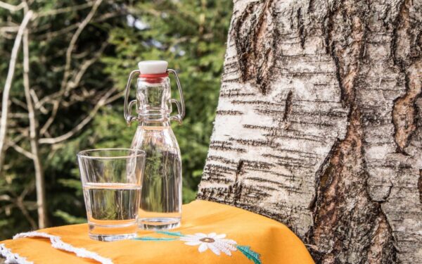 Beržų sula: idėjos, kur ją galima panaudoti