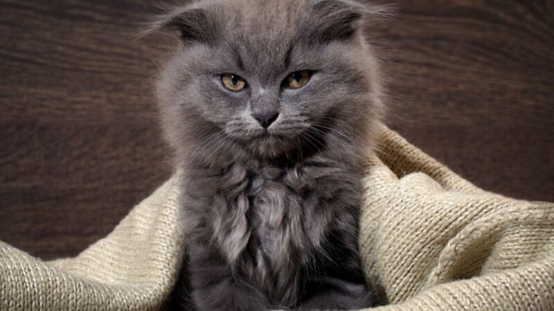 Greičiausiai susierzinantys zodiako ženklai