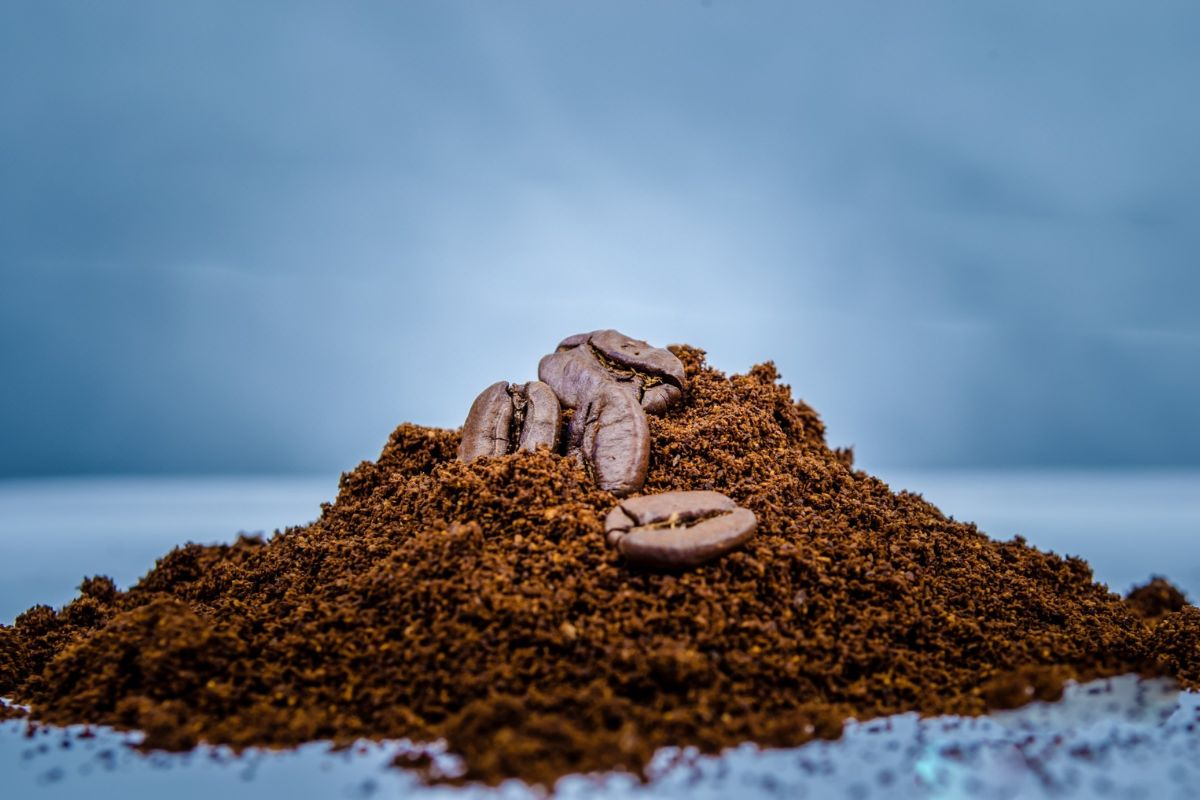 Kaip pagerinti dirvą su vos vienu namuose turimu ingredientu?