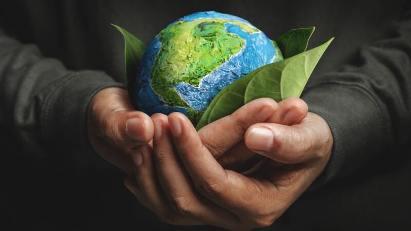 Kovo 20 – Žemės diena: kokia prasmė ir siekiai vainikuoja šią datą?