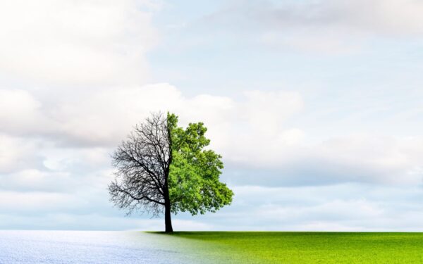 Sinoptikai atsako: kodėl kovo mėnuo toks permainingas? Ir kas lemia drastiškai kintantį orą?