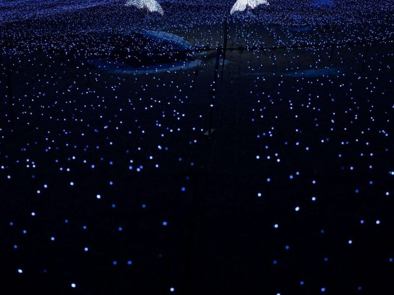 Šeštadienio horoskopas (kovo 15 d.): Vieno zodiako ženklo laukia didelis proveržis meilėje!