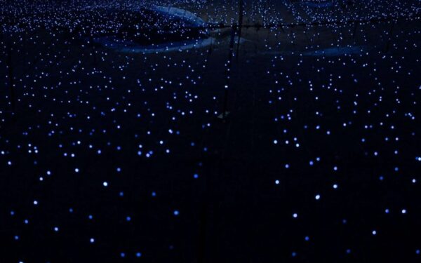 Ketvirtadienio horoskopas (kovo 6 d.): Koks Zodiako ženklas pavers karjeros iššūkius auksinėmis galimybėmis?