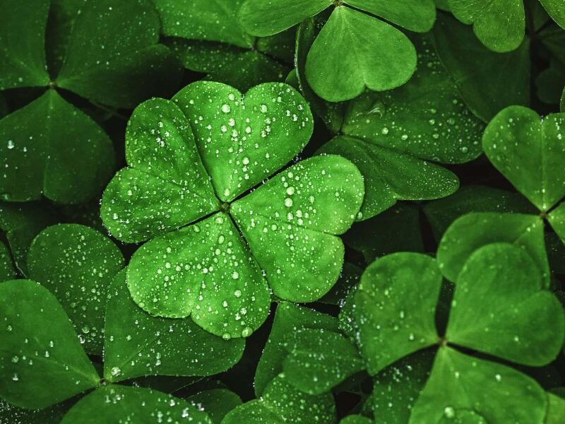 Ketvirtadienis Geras prietaras (kovo 20 d.): Sužinokite, kurie Zodiako ženklai turėtų pasitelkti magiškas akimirkas netikėtai sėkmei šiandien!