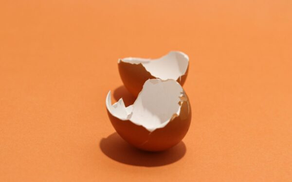 Kiaušinių lukštų panaudojimo būdai po Velykų